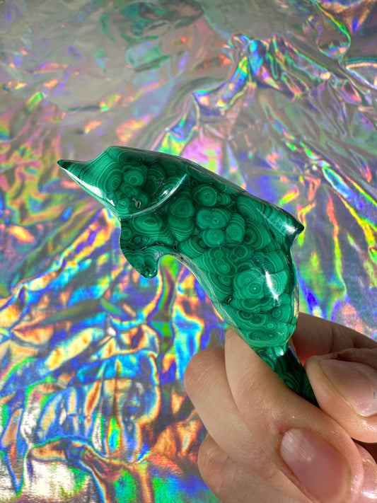 Malachite Dolphin