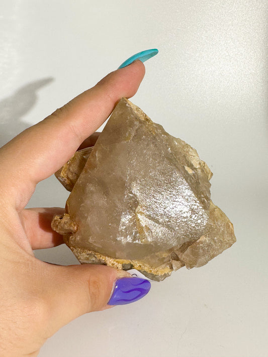 Amphibole Quartz