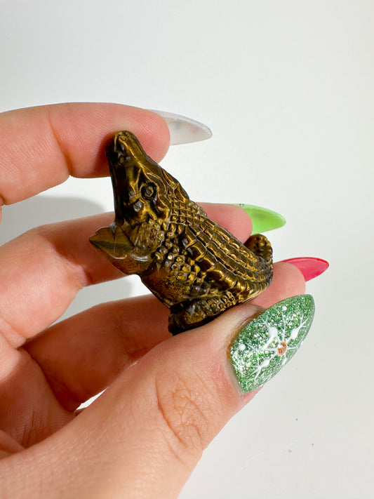 Tigers Eye Alligator