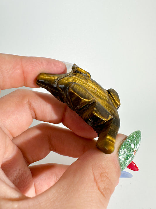 Tigers Eye Alligator