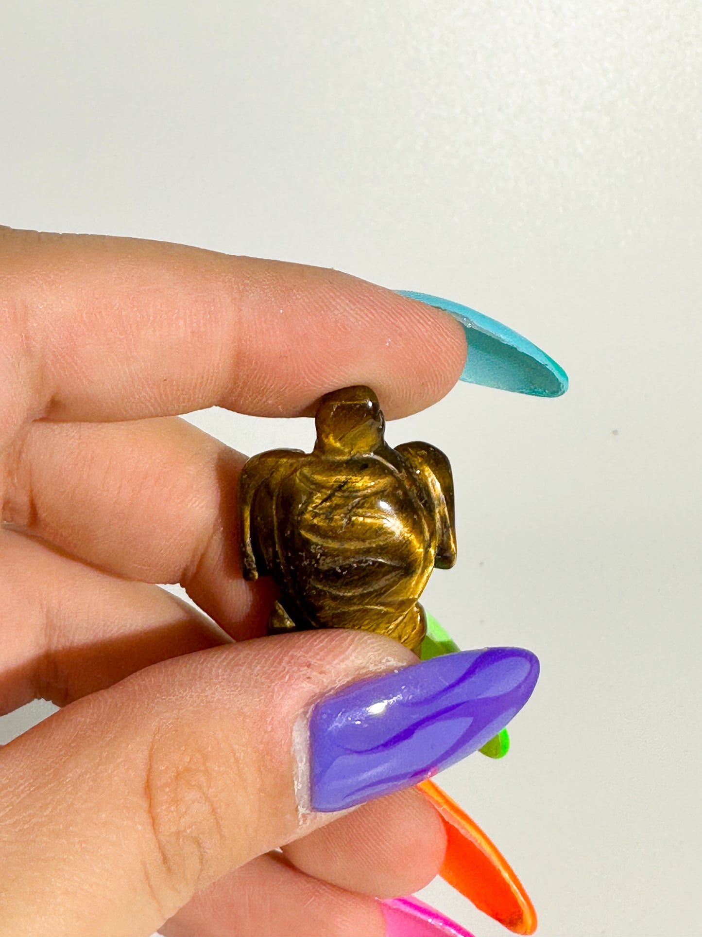 Mini Tigers Eye Turtle